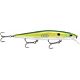 Emerald Shad