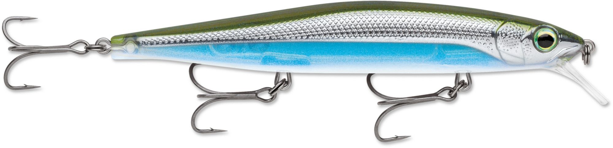 Metallic Moss Back Shiner