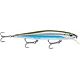 Metallic Moss Back Shiner