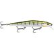 Metallic Yellow Perch
