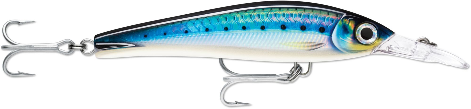 HD Blue Sardine