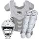 White/Silver