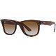 BROWN/CLEAR GRADIENT BROWN