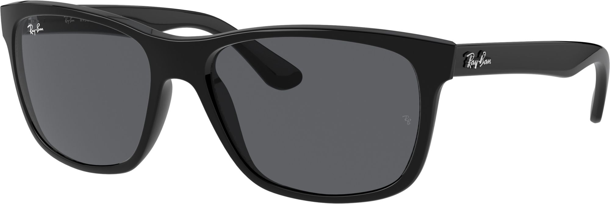 RAY-BAN Men's RB4181 LG Wayfarer Sunglasses