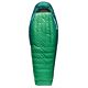 Rainforest Green