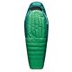 Rainforest Green