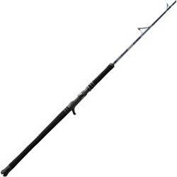 Conventional Fishing Pole
