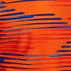 Speedo Orange