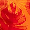 Spicy Orange