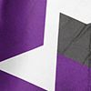 Speedo Purple
