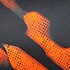 Speedo Orange