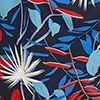 Red/White/Blue