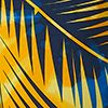 Saphire/Gold