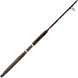 Psychedelic Inshore Spinning Rods, Silver