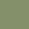 Dried Pine