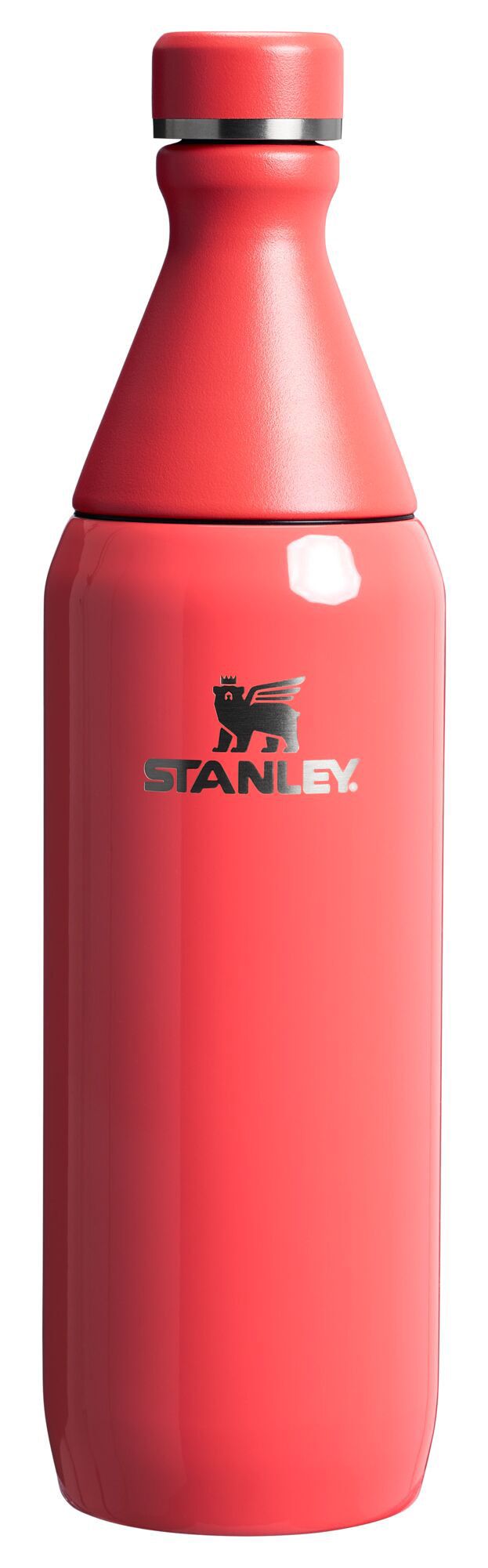 Stanley 20 oz. All Day Slim Bottle