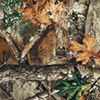 Realtree