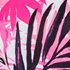 Tropical Palms