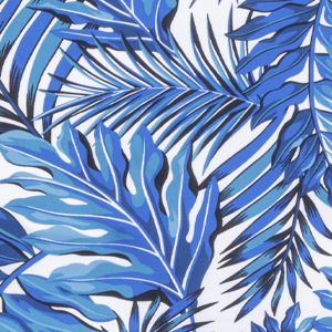Queen Palm