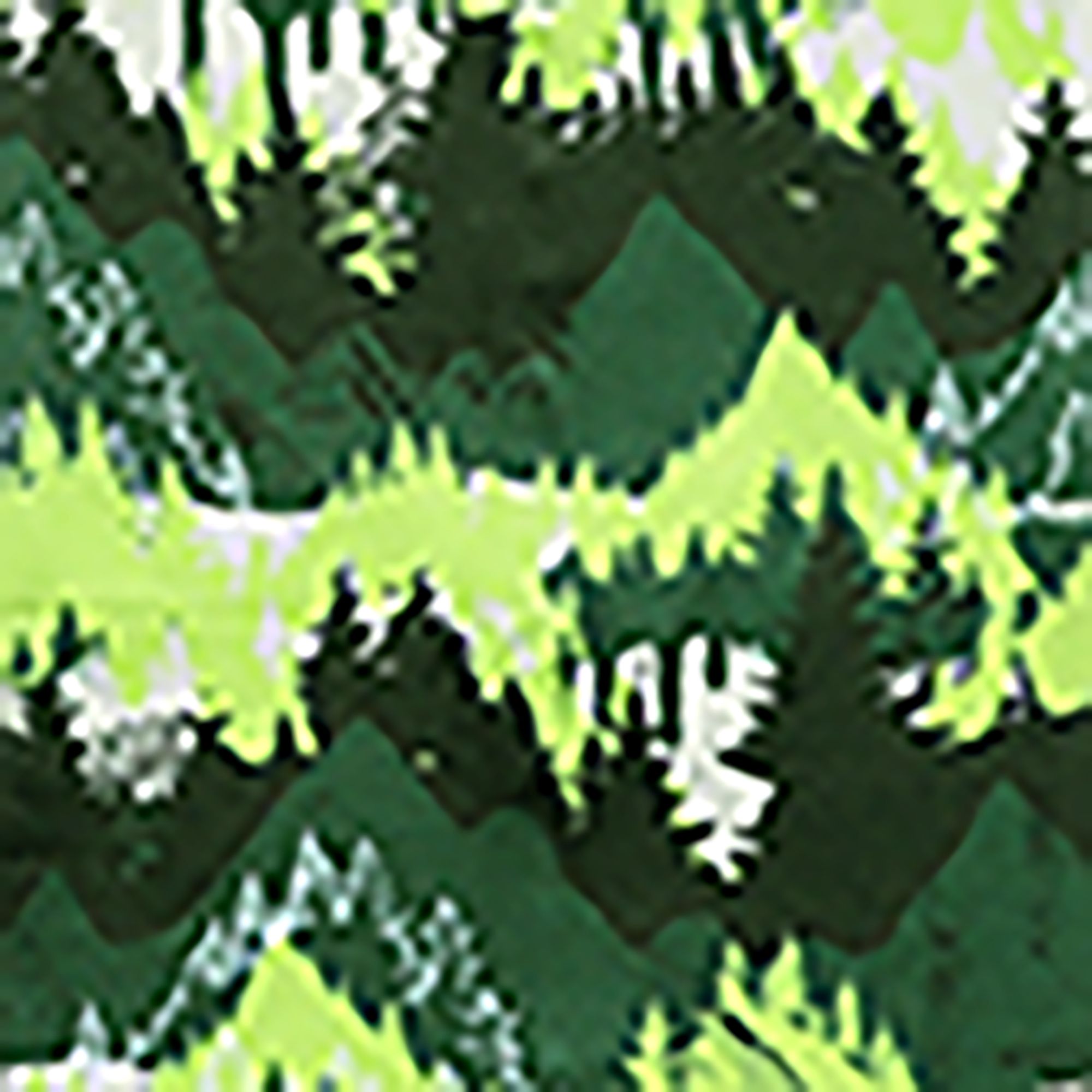 Mountain Range