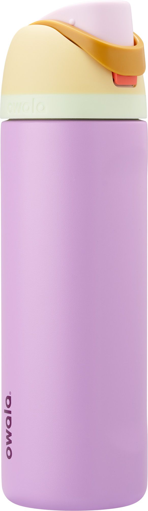 Owala 32 oz. FreeSip Stainless Steel Water Bottle, Arctic Skyfall