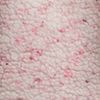 Pink Moss