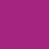 Purple Cactus Flower