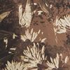 Latte Prairie Flowers Prt