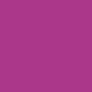Purple Cactus Flower