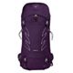 Violac Purple