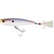 Baitfish