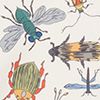 Bugs