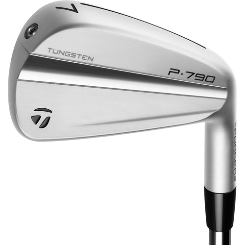 TaylorMade 2021 P790 Irons | Golf Galaxy