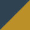 Gold/Navy