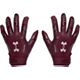 Maroon/Silver