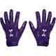 Purple/Silver