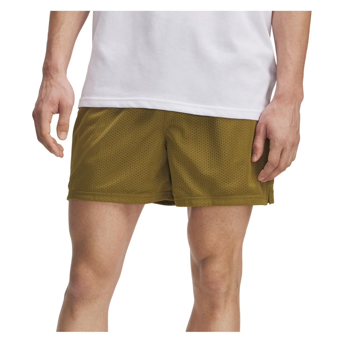 The North Face Men's Wander Shorts | Dick's Sporting Goods