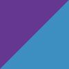 Purple/Blue