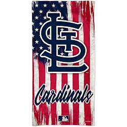  WinCraft MLB Tampa Bay Rays Beach Towel, 30x60, Team Color :  Sports Fan Beach Towels : Sports & Outdoors
