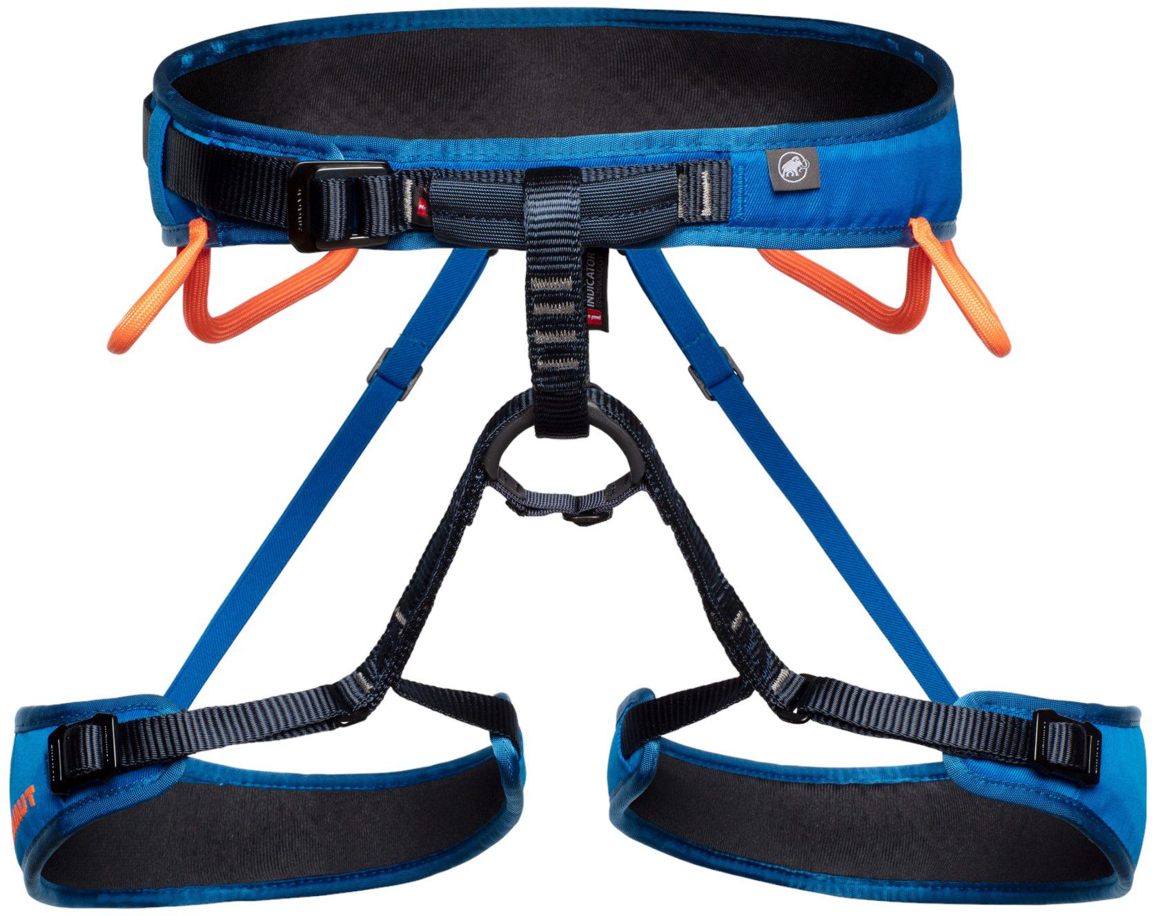 Harnesses & Accessories