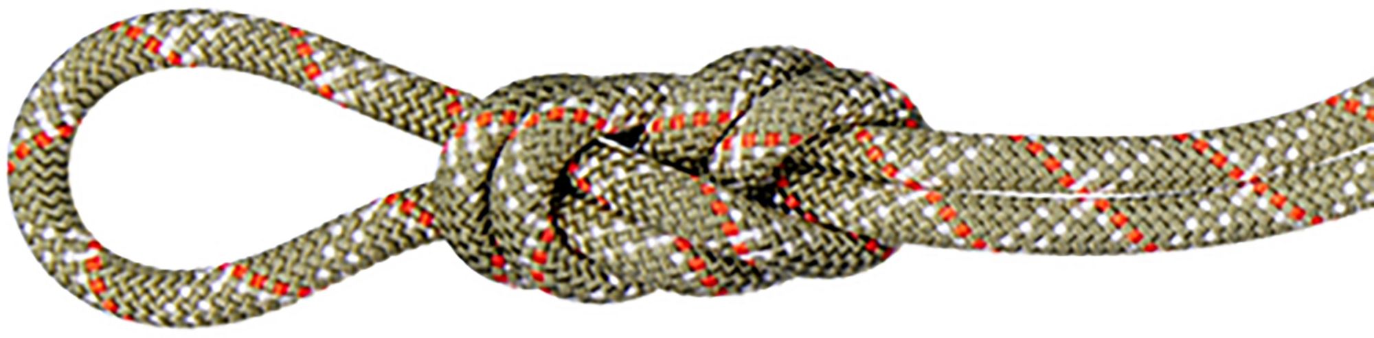 Mammut 9.5 Gym Classic Rope
