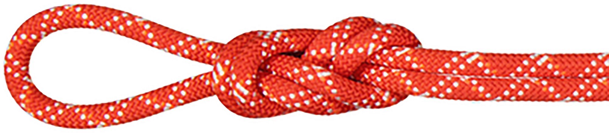 Mammut 9.5 Gym Classic Rope