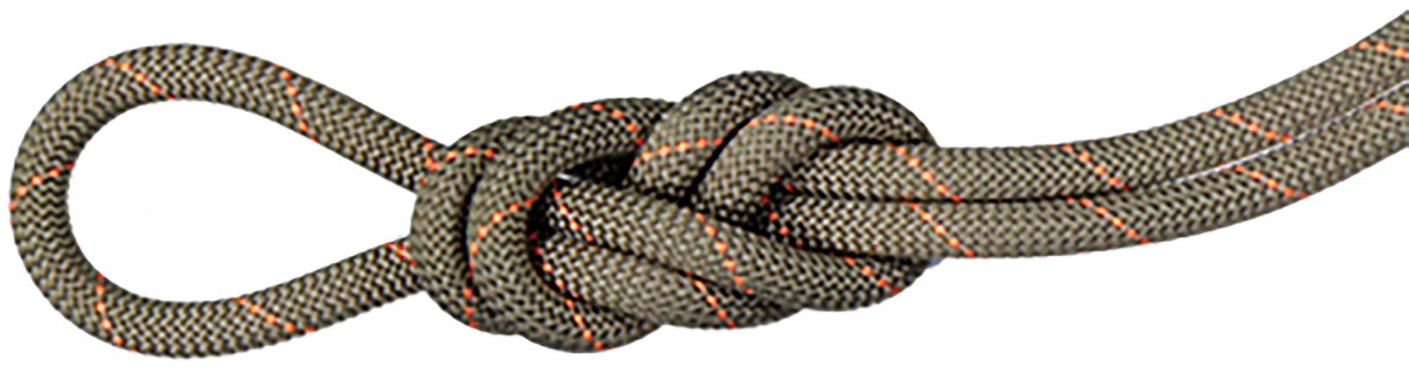 Mammut 9.9 Gym Workhorse Classic Rope