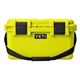 Firefly Yellow