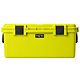 Firefly Yellow