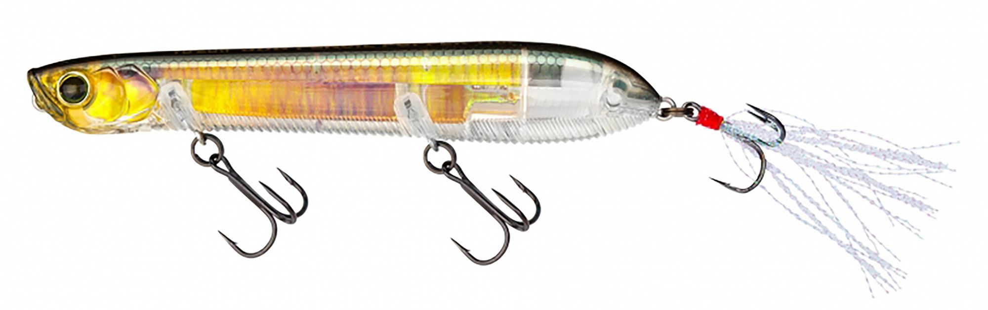 Real Gold Shiner