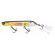 Real Gold Shiner