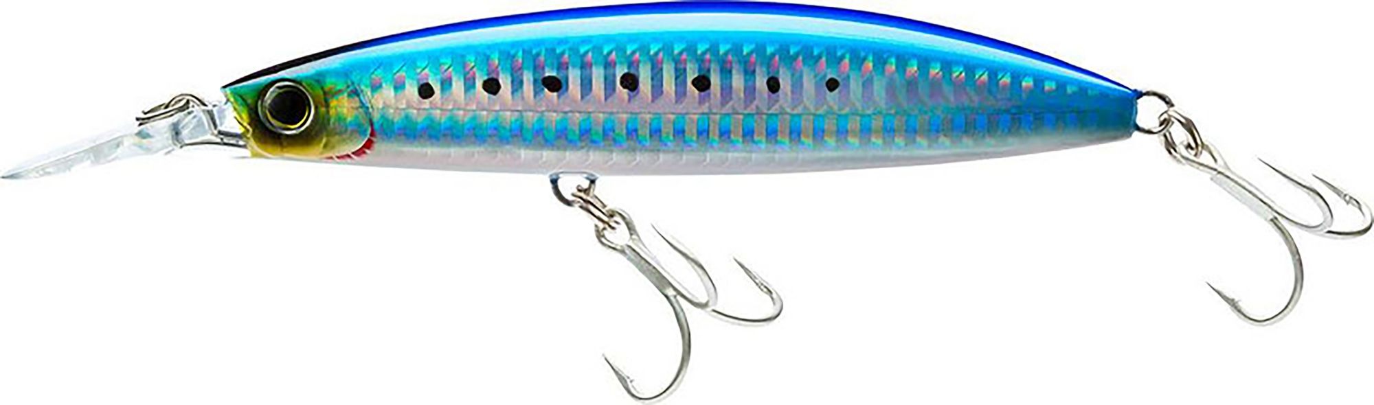 Sardine