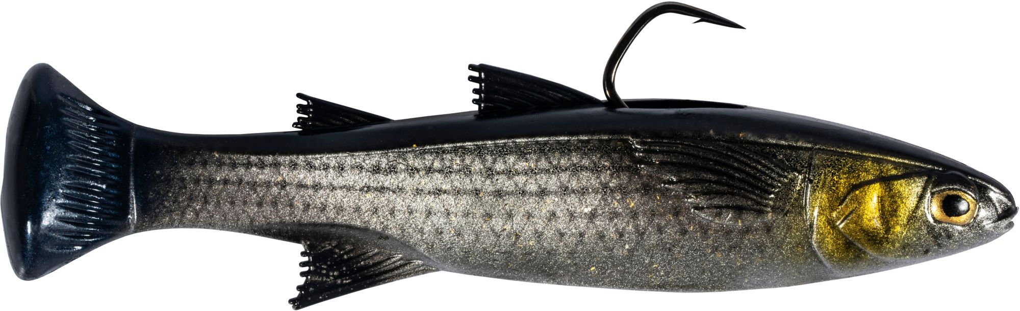 Silver Mullet
