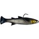 Silver Mullet